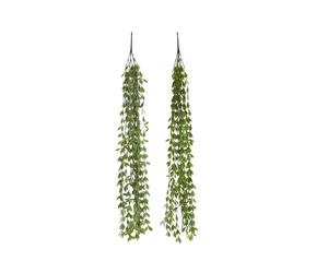 DKD Home Decor Ramas de PE Colgantes Verde Surtido de 2