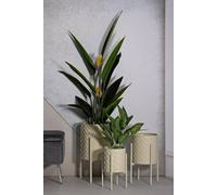 Dmora Set di 3 portavasi Buller, Complemento d'arredo, Articolo Decorativo, Accessorio d'arredo, 36x36 h57 cm, Crema