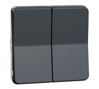 Schneider Electric Doble conmutador MUR35020 Cruzamiento IP55 Gris