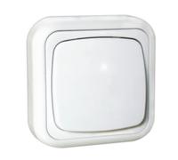 Doble interruptor de superficie 10a/250v~ electro dh 36.480/dc 8430552
