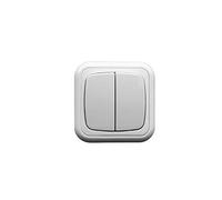Doble interruptor de superficie 10A/250V, ideal para controlar luces y electrodomésticos en interiores.