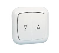 Doble interruptor empotrable de 6 a/250 v electro dh 36.530/di, color