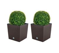 Doble set de maceta rato 32 litros con cubilete para plantar en color chocolate 33 x 33 x 33 cm + bola de boj diámetro 27 cm