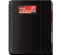 Dohe - Carpeta con 30 Fundas Extraíbles - A4 (25x31 cm), Anillas de Disco, 5 Separadores de Colores, Cierre de Goma Elástica - Material de oficina y escolar
