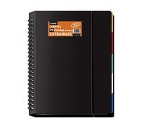 Dohe - Carpeta de 20 fundas extraibles - Calidad Extra