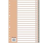 Dohe - Separadores Archivadores 2 y 4 anillas (20 uds.) - Índices Tamaño Folio (22,7x31,5 cm), Numerados 1-20, Plástico Resistente 120 Micras, 16 Agujeros - Color Gris