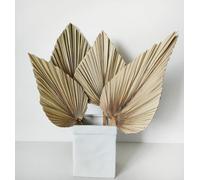 DongArts Hojas de palma secas grandes naturales, 4 abanicos de palma seca de diferentes formas, lanzas de palma secas de 45 cm, plantas reales, ramo de flores secas para decoración bohemia de oficina