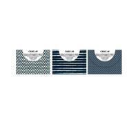DOSSIER SOBRE CANSON PP BRC.34x47 SURT.3 - Pack de 10 unidades
