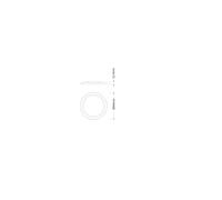 Downlight DL CMFT INTERCH RING D150 GY 4099854515439