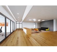 Downlight LED 30 W 3000 lm 4000 K IP44 100 grados 215 mm de longitud recortada