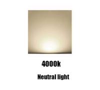 Downlight Led panel redonda 4W, 6W, 8W, 10W, luz blanca/fria y luz del dia, 6500K y 4000k, Don Feliz Daylight 4000k