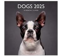 DRAEGER PARIS 1886 - Gran calendario mural 29 x 29 cm 2025-7 idiomas - Septiembre 2024 a diciembre 2025-12 fotografías disponibles en varios temas - Perros - Nota de citas, cumpleaños