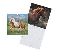 DRAEGER PARIS 1886 - Grand calendrier mural Chevaux - 2023, Marron