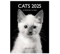 DRAEGER PARIS 1886 - Pequeño calendario de pared 14x18 cm 2025 - Septiembre 2024 a diciembre 2025-7 idiomas - Septiembre 2024 a diciembre 2025-12 fotografías disponibles - Gatos blanco y negro