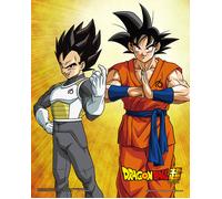 Dragon ball super - póster 3d goku & vegeta