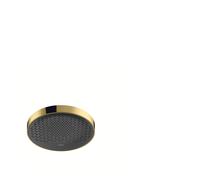 Ducha superior Rainfinity de mano 250 1jet EcoSmart 9 l/min, 26229990, Color: Óptica Oro Pulido