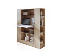 duehome | Estantería con Escritorio, Estanteria Multifuncion, Mesa de Ordenador, Modelo Play, Acabado en Tofe y Andersen, Medidas: 119,6 cm (Largo) x 139,6 cm (Alto) x 34,5 cm (Fondo)
