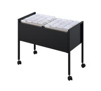 DURABLE Carrito para carpetas colgantes 308201 ECONOMY duo 100 A4 negro
