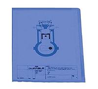 Durable 233706 Funda transparente, DIN A4 vertical, polipropileno 120 µ, caja de 100 piezas, azul