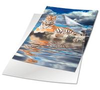 DURABLE Funda 233919 A4 retrato – transparente, película rígida 150 µ, caja de 50 piezas