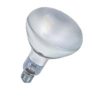 DUVER Lámpara UV Vitalux 300 W Casquillo E27