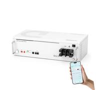 Dyness Batería Litio 24V 100Ah LiFePO4 con Bluetooth, BMS de 100 A, 6000 Ciclos, Can y RS485, 24V Bateria LiFePO4 para Camper, Solar, Barcos de Pesca de Róbalo, Autocaravanas (RV), Fuera de la Red