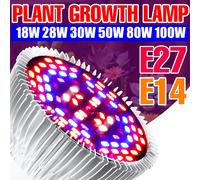 E27 LED planta crecen la luz espectro completo Phytolamp E14 interior flor plántulas cultivo hidropónico verduras Growbox Fluorolamp