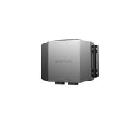 EcoFlow - Cargador de batería para coche (600 W, 12/24 V) | 3 en 1 B2B Booster de carga para EcoFlow DELTA Powerstations, carga rápida de 600 W durante la conducción