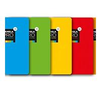 Paquete 5 Cuaderno folio extra dura 100 hojas. 4 mm., SURTIDOS