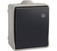 SOLERA 3320 - Pulsador estanco de superficie, IP54, color gris