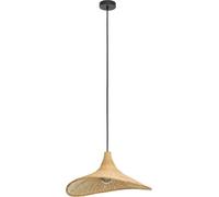 EGLO 43869, 1 bombilla, casquillo E27, IP20, estilo natural, acero
