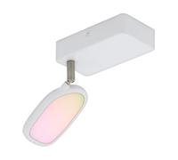 Eglo connect Lámpara de pared LED Palombare-C, lámpara de techo inteligente de una luz en metal, aluminio y plástico blanco, foco con RGB y luz ajustable (cálida, neutra, fría), regulable