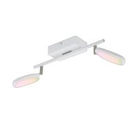 Eglo connect LED lámpara de techo Palombare-C, lámpara de techo inteligente de 2 luces fabricada en metal, aluminio y plástico blanco, focos con RGB y luz ajustable (cálida, neutra, fría), regulable