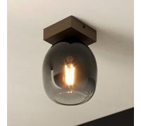 EGLO Filago plafón de vidrio humo 1 luz
