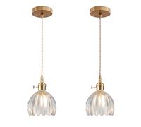 EKSED Lámpara Colgante Vintage de Vidrio con Casquillo E27 y Interruptor Giratorio, Pantalla con Forma de Pétalo para Cocina, Comedor o Dormitorio (transparente, 2 unidades)
