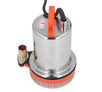 Eleage Bomba Sumergible de CC, Bomba de Agua de Alto Rendimiento de Acero Inoxidable para Riego de Tierras Agrícolas, 300W, 12V