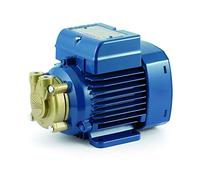 Electric Water PV Pump with peripheral impeller PVm55 0,25Hp 240V Pedrollo