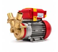 Motores Campeón Bomba eléctrica de trasiego Rover 30 CE Bronce Monofásica 230 V