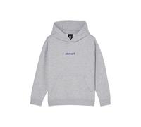 Element Lowcase BP - Sudadera con Capucha - Niños 8-16 - Gris