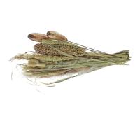 ELEOUTI Manojo de Flores Secas de Sorgo y Junco para Decoración Rústica de Hogar, Ramo Artificial para Bodas y Bricolaje, Adornos Naturales para Sala