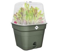Elho Green Basics Growpot Square Allin1 25 - Macetero por Cultívalo tú Mismo - Ø 24.5 x H 20.7 cm - Verde/Leaf Green