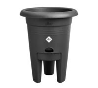Elho Green Basics Strawberry Pot 22cm - Maceta para Cultivo de Fresas - Incluye Depósito de Agua - 100% Plástico Reciclado - Negro/Living Black