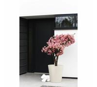 Elho Macetero Pure Straight Round 50 – Ø 49.5 x H 51.0 cm – Blanco/Linen White – Interior/Exterior