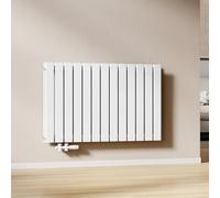 EMKE Radiador de Agua Caliente Blanco 630 x 1006 mm,Panel Doble | 1308W para 12 m², para Baño, Dormitorio o Salón, Montaje en Pared, sin Válvula