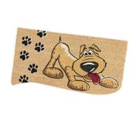 emmevi Felpudo de coco de 40 x 75 cm con parte trasera de goma antideslizante, alfombra de entrada, moderna para puerta de perro