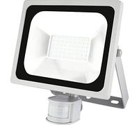 Emos * Model, LED Reflector profesional 30 W PIR, CW, aluminio, Silver, 23,5 x 12 x 27,5 cm