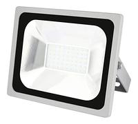Emos * Model, reflector LED 30 W profesional, aluminio, Silver, 23,5 x 12 x 21 cm