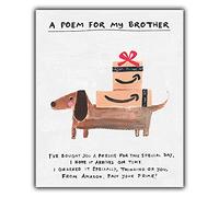 Emotional Rescue, Multi, ZFW9427 - Tarjeta de cumpleaños para hermano, tarjeta de cumpleaños divertida para hermano, tarjeta divertida para hermano para cumpleaños, prime, ensalada de papel