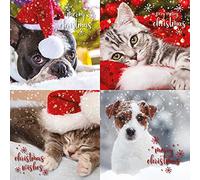 Emotional Rescue Multipack de tarjetas de Navidad, 12 tarjetas de Navidad, 4 diseños diferentes, paquete de 12 tarjetas de Navidad, paquete múltiple de tarjetas de Navidad