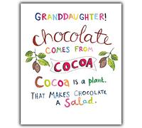 Emotional Rescue Tarjeta de cumpleaños para nieta, divertida tarjeta de cumpleaños para nieta, tarjeta de feliz cumpleaños para nieta, chocolate, ensalada de papel, multicolor, ZFPW9693